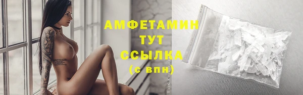 прущие грибы Верхний Тагил