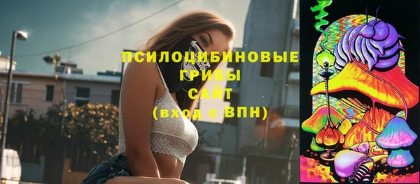 круглые Бородино