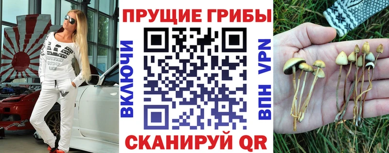 Галлюциногенные грибы прущие грибы  Купить где  Пролетарск 